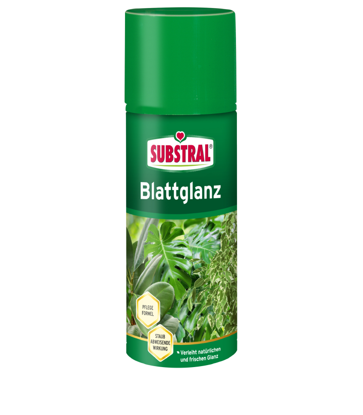 SUBSTRAL Blattglanz